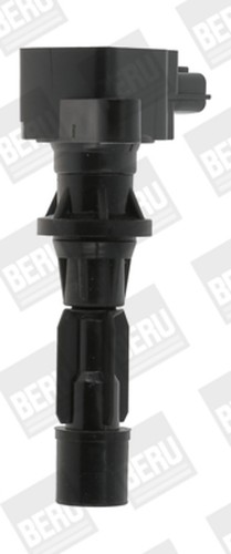 Zündspule borgwarner - borgwarner, (beru)